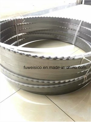 M42-kaistan sahakoneen terä